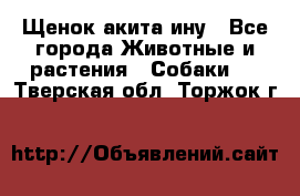 Щенок акита ину - Все города Животные и растения » Собаки   . Тверская обл.,Торжок г.